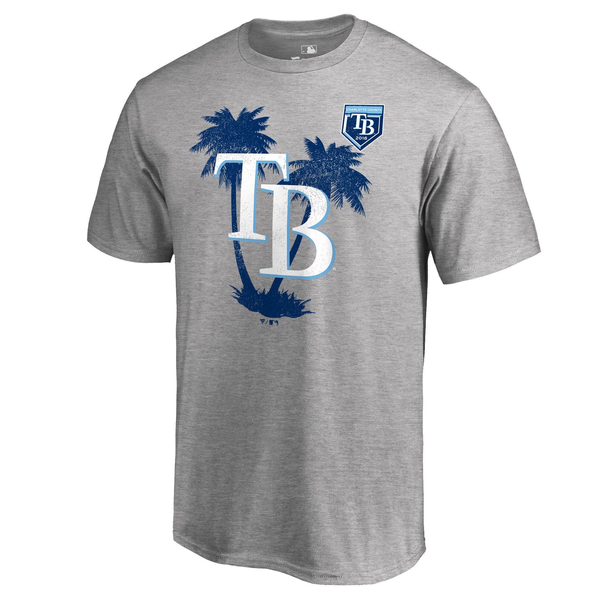 Men's Tampa Bay Rays Fanatics Branded 2018 MLB Spring Training Vintage T-Shirt ?C Heather Gray